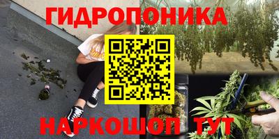 ПСИЛОЦИБИНОВЫЕ ГРИБЫ Кандалакша