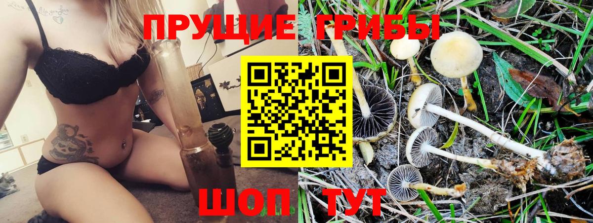 Кыштым  Псилоцибиновые грибы мицелий  купить наркотики цена  Вход с VPN 