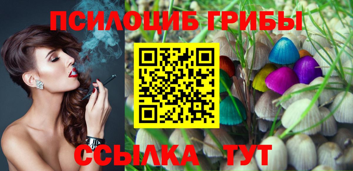 Галлюциногенные грибы Cubensis Кыштым